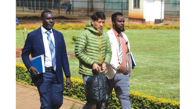 E-Creator director had fifty ecocash sim cards