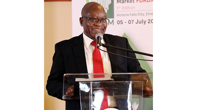 Zuma blasts IMF for starving Zimbabwe