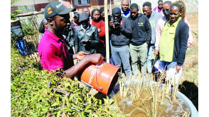 Recent graduates venture into fertiliser manufacturing