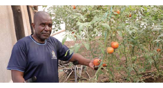 Jairos Jiri sets up greenhouse, agro-processing plant