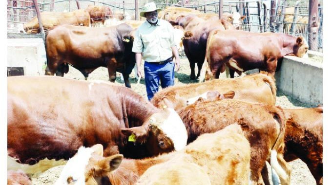 Farmers adopt drought mitigation measures