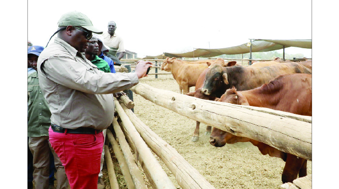 Private sector increases agriculture financing