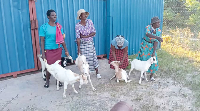 Women benefit from Boer, Matabele goats scheme