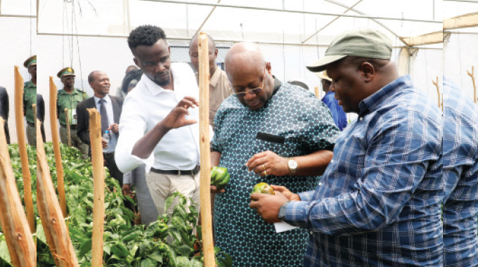 Horticulture project busting gender based violence