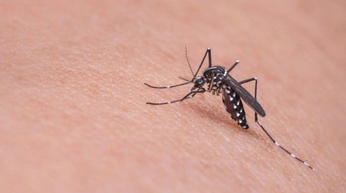 1 285 new malaria cases in one week