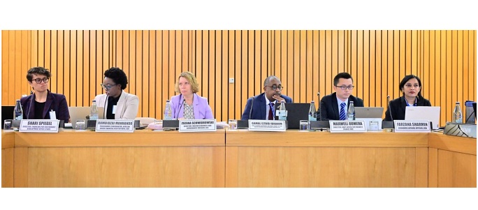 ECA strategises on resource mobilisation for SDGs