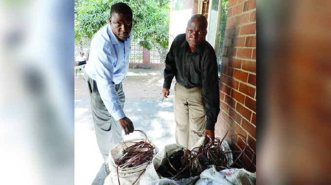 infrastructure under siege: Police set up crack unit for vandals