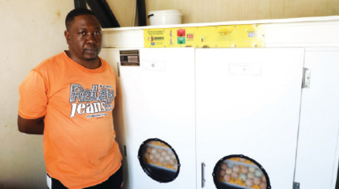 ‘I left South Africa to become my own boss’