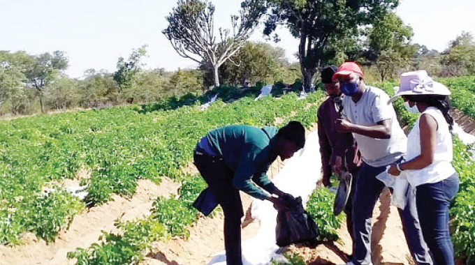 Nust, Malawi varsity in bio-fertiliser partnership