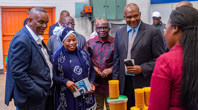 SMEs backbone of economy, job creation – ZB Holdings