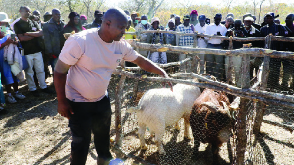 Frank Chirisa back on Bulawayo’s comedy scene