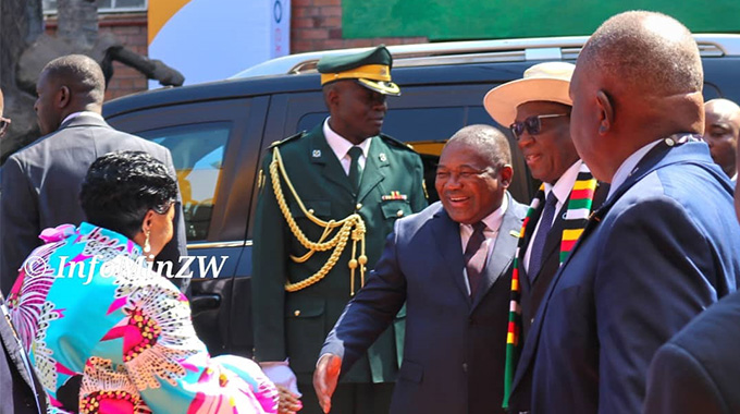 Regional collaboration and digital tools key in combating illicit trade in East and Southern Africa
