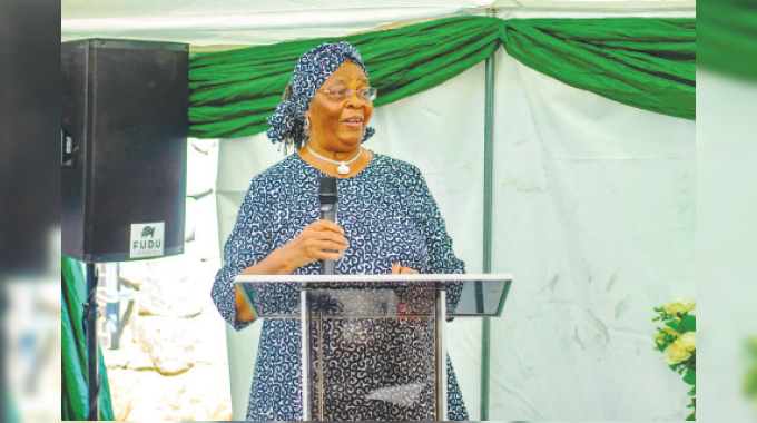‘Local contractors show commitment to Zim’s vision’