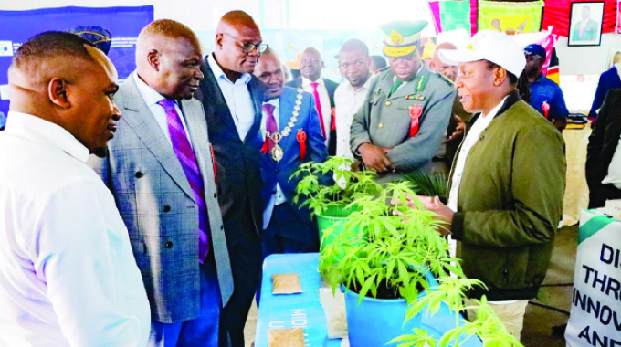 ZiG acceptance reaches 91 percent