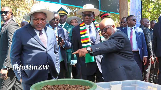 ‘Harare, Maputo will always stand together’