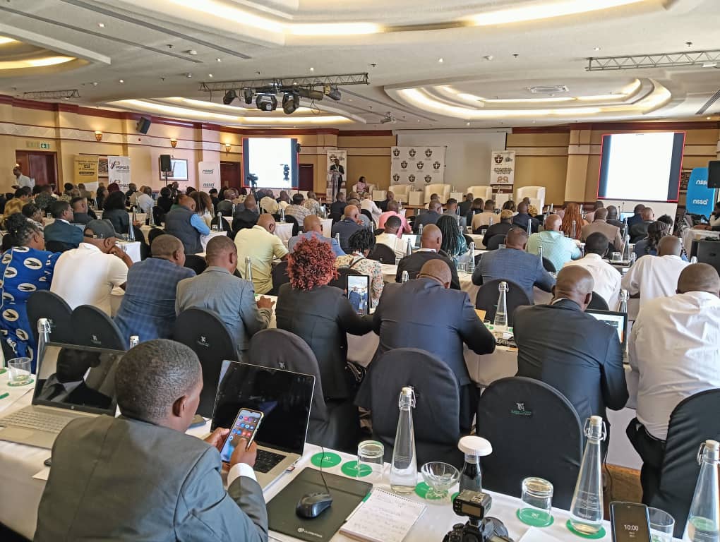 Call to empower traditional courts, leaders