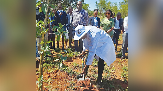 St Augustine’s College sets the pace in tree planting, environmental stewardship