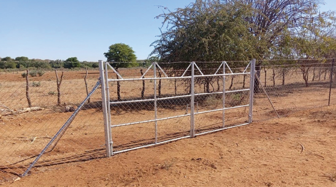 Beitbridge farmers embrace drip irrigation