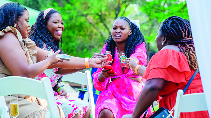 Bulawayo’s ultimate picnic, Picnics & Chill returns with December edition