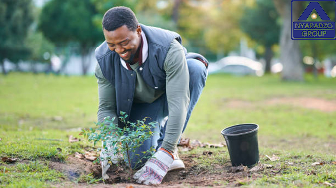 Nyaradzo Group reaches milestone: 400 million trees planted since 2022